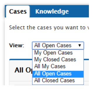 View Support Cases