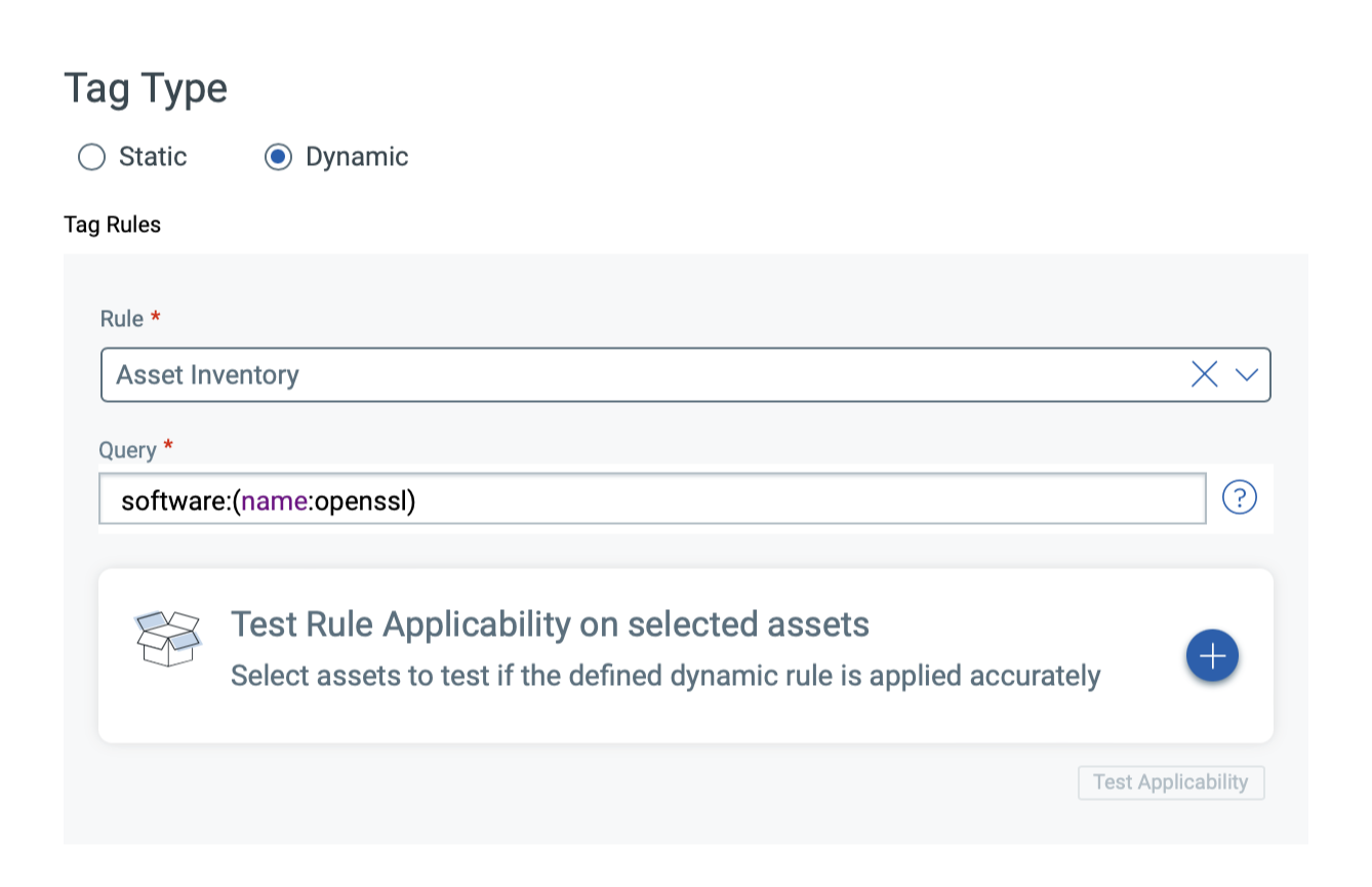 Qualys Cybersecurity Asset Management: Tag Type Window
